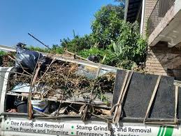 Best Shed Removal  in Newton, IL